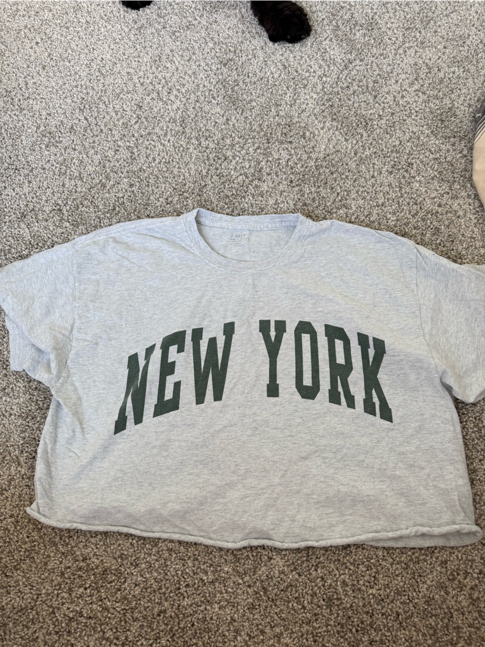 Brandy Melville Grey Cropped Tee with Dark Green NEW YORK Print